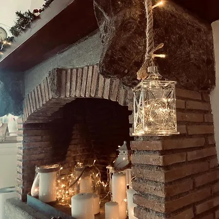 L'albero Della * Viterbo